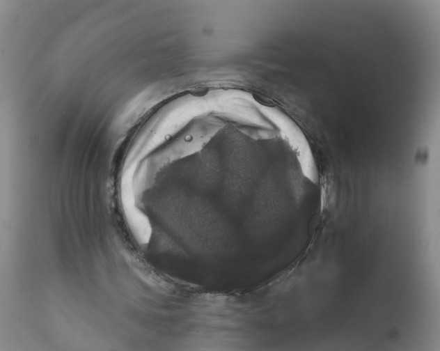 X0000111640339200908141413