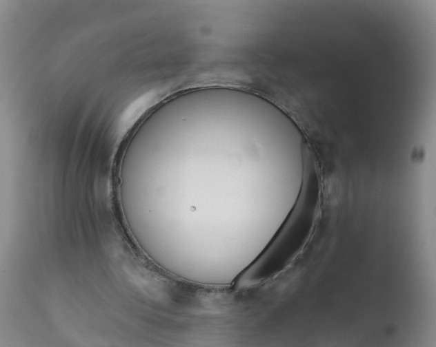 X0000111640340200908141413