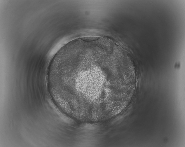 X0000111640341200908141413