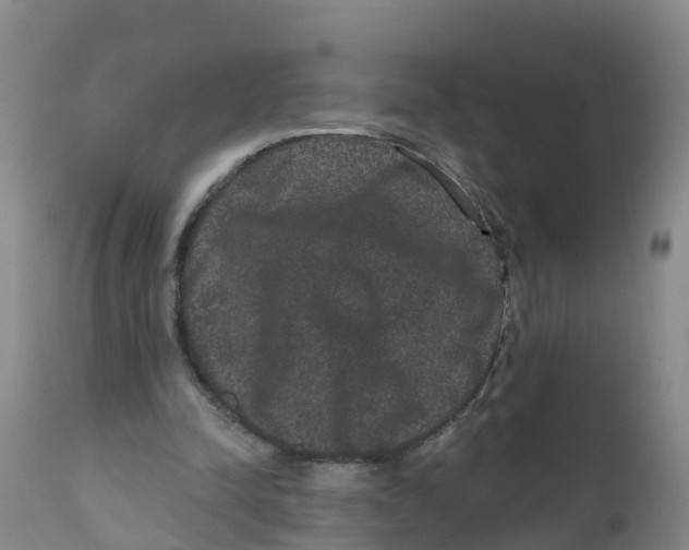X0000111640342200908141413