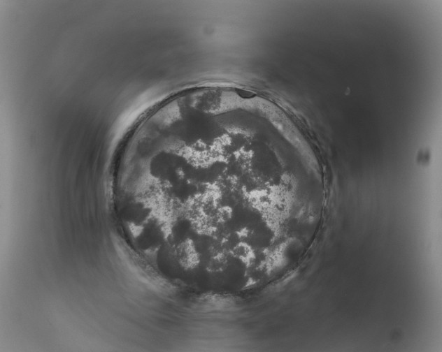 X0000111640343200908141413