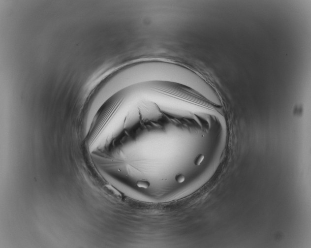 X0000111640344200908141413