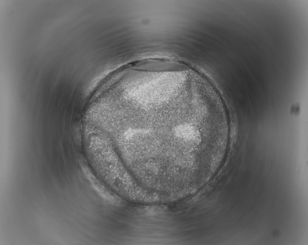 X0000111640345200908141413