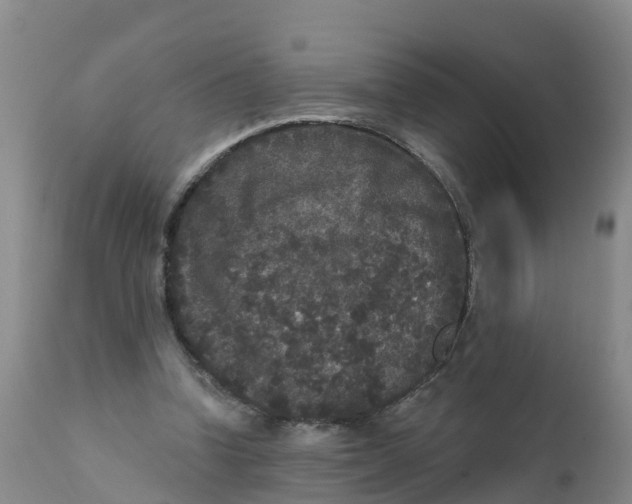 X0000111640346200908141413