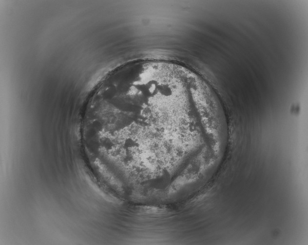 X0000111640347200908141413