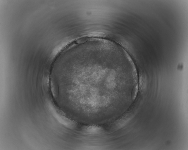X0000111640348200908141413