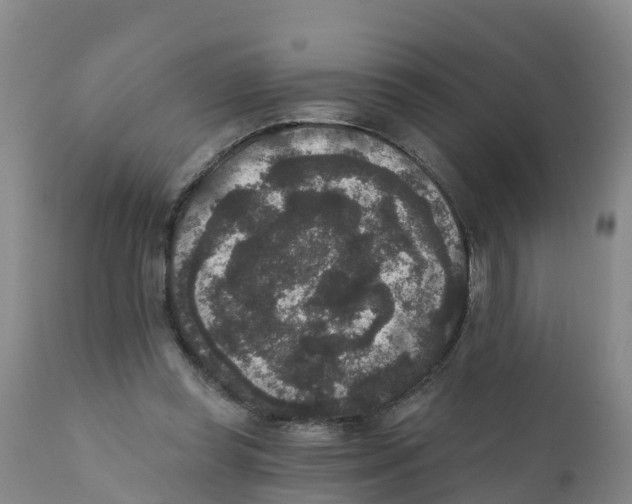 X0000111640349200908141413