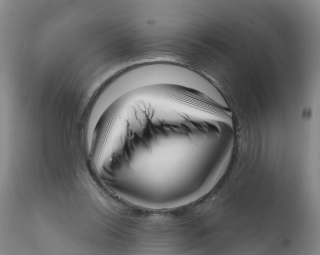 X0000111640350200908141413