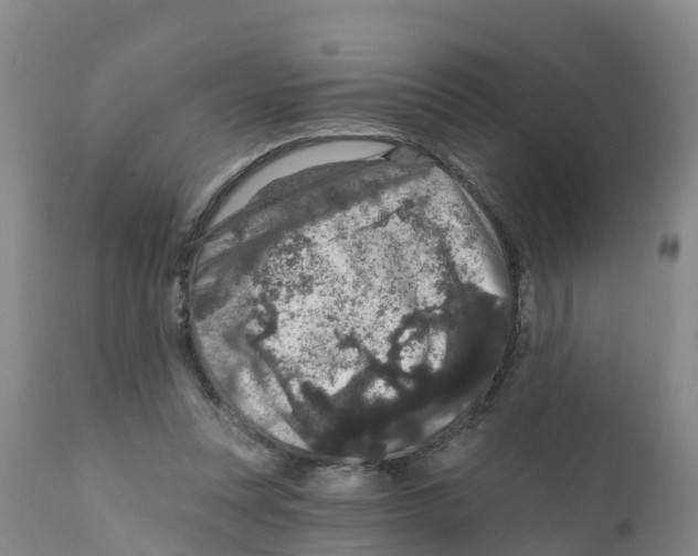 X0000111640351200908141413