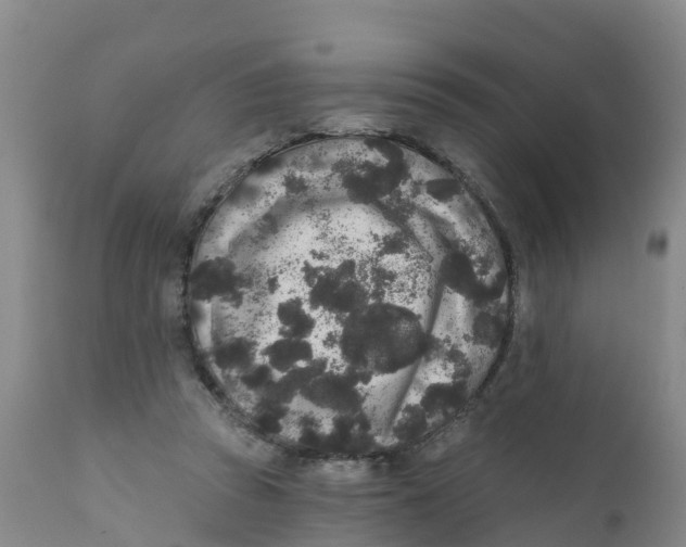 X0000111640353200908141413