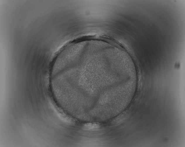 X0000111640354200908141413