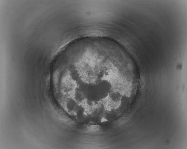 X0000111640355200908141413
