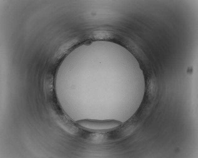 X0000111640356200908141413