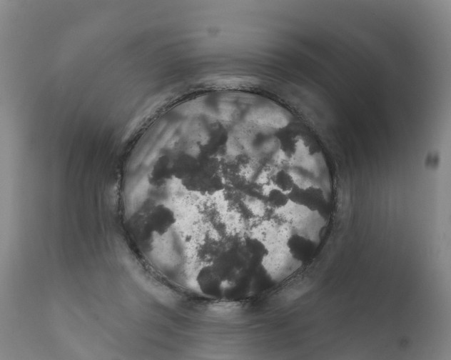 X0000111640357200908141413