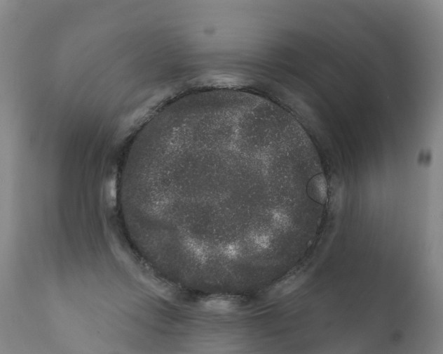 X0000111640358200908141413