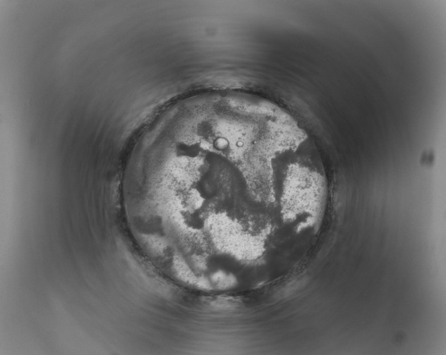 X0000111640359200908141413
