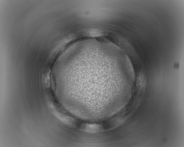 X0000111640360200908141413