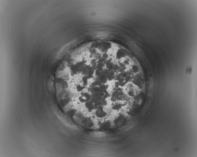 X0000111640361200908141413