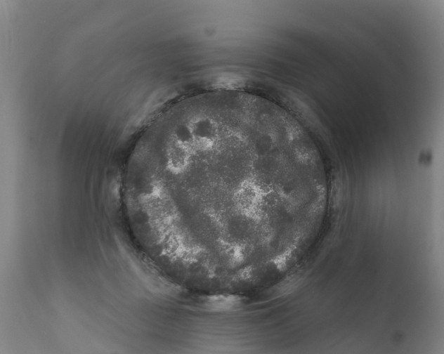 X0000111640363200908141413