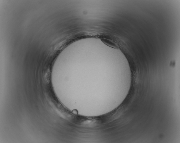 X0000111640364200908141413