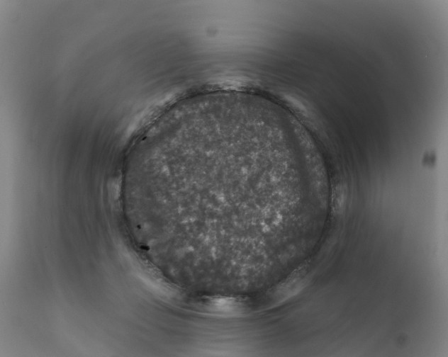 X0000111640365200908141413