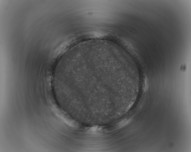 X0000111640366200908141413