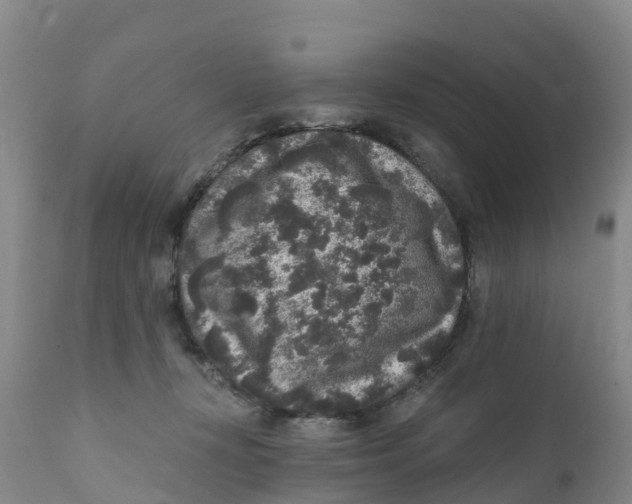 X0000111640367200908141413