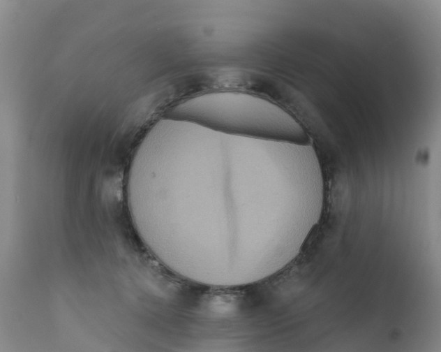 X0000111640368200908141413