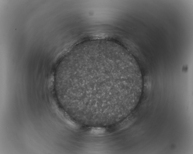 X0000111640369200908141413