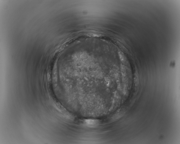 X0000111640371200908141413