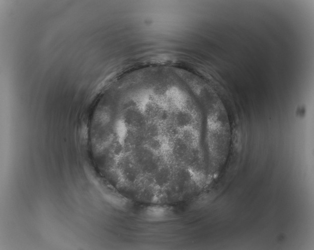 X0000111640375200908141413