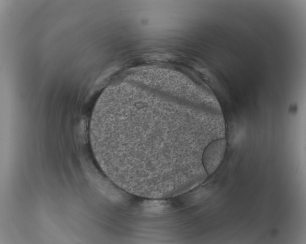 X0000111640378200908141413