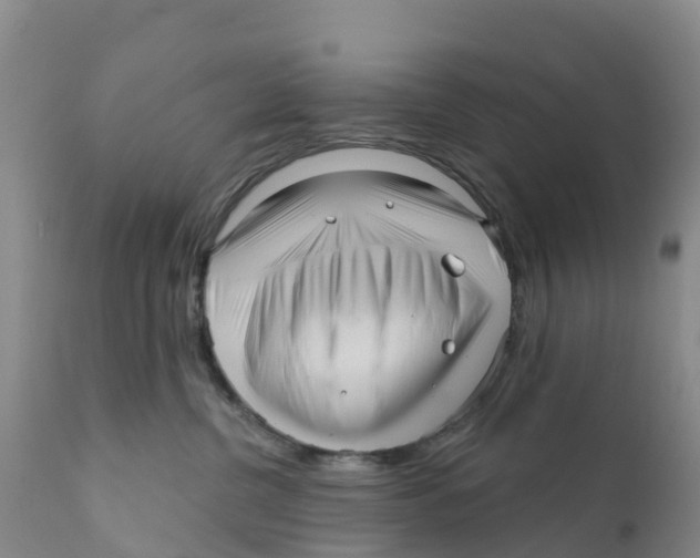 X0000111640380200908141413