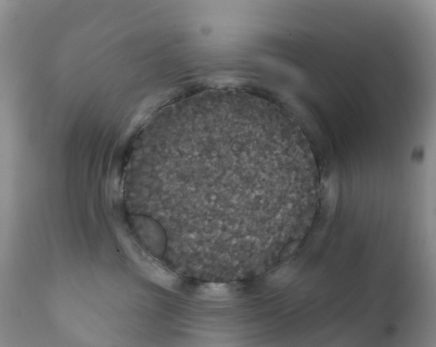X0000111640381200908141413