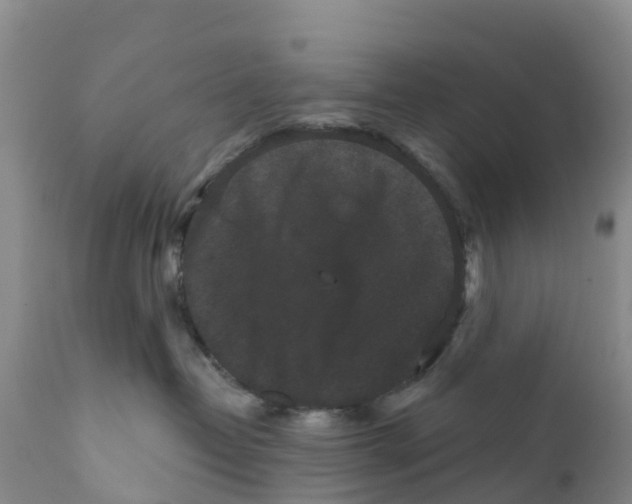 X0000111640382200908141413