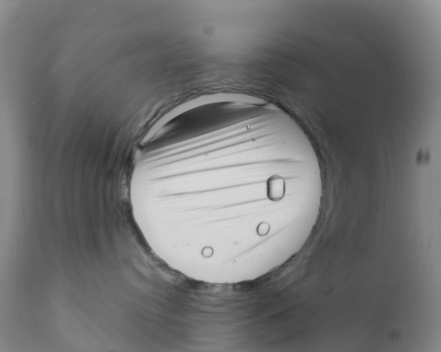 X0000111640384200908141413