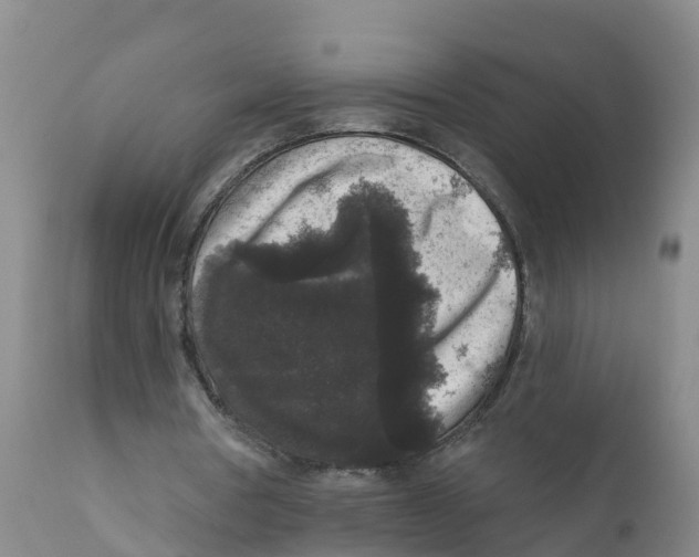 X0000111640386200908141413