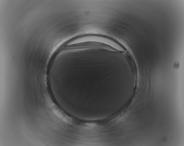 X0000111640391200908141413