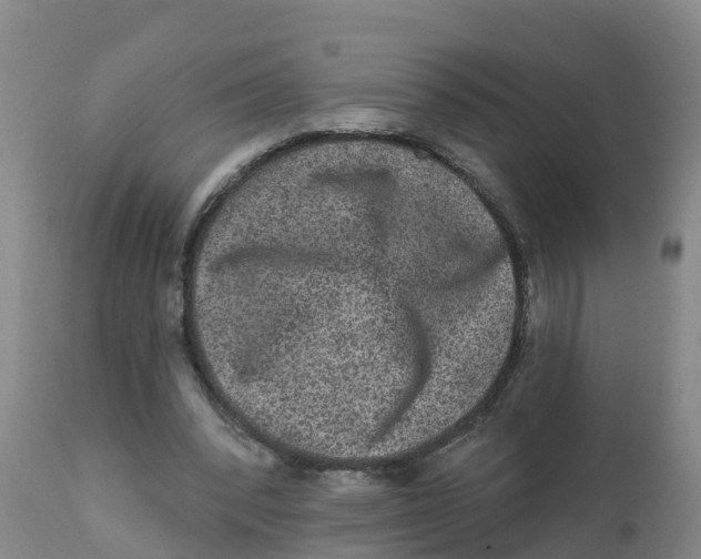X0000111640392200908141413