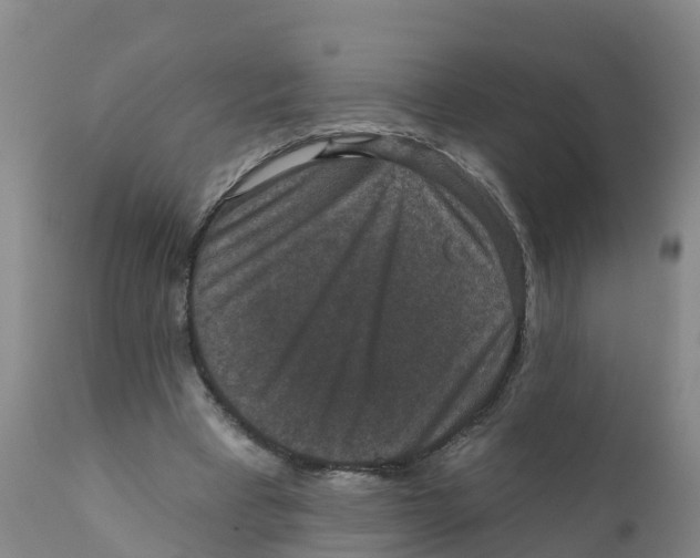 X0000111640393200908141413