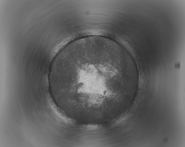 X0000111640394200908141413