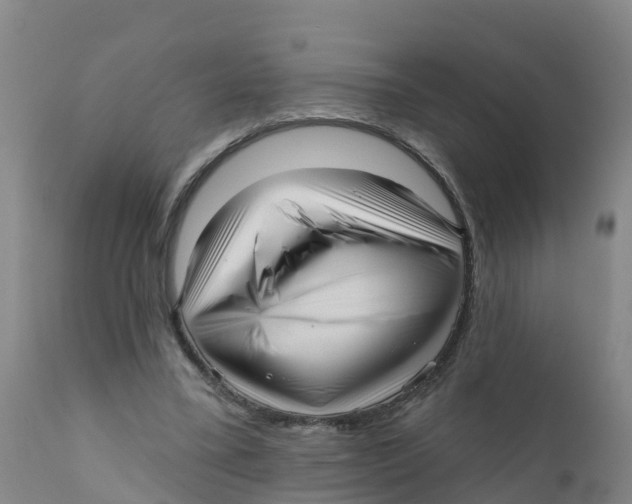 X0000111640395200908141412