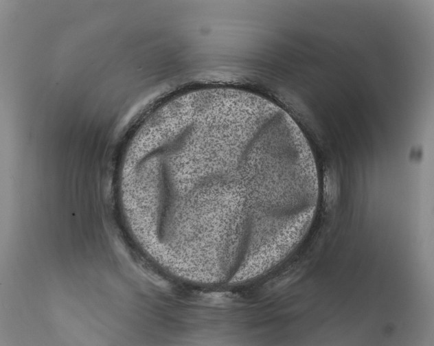 X0000111640396200908141412
