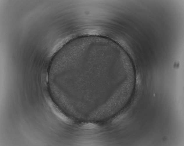 X0000111640397200908141412