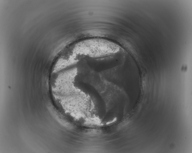 X0000111640398200908141412