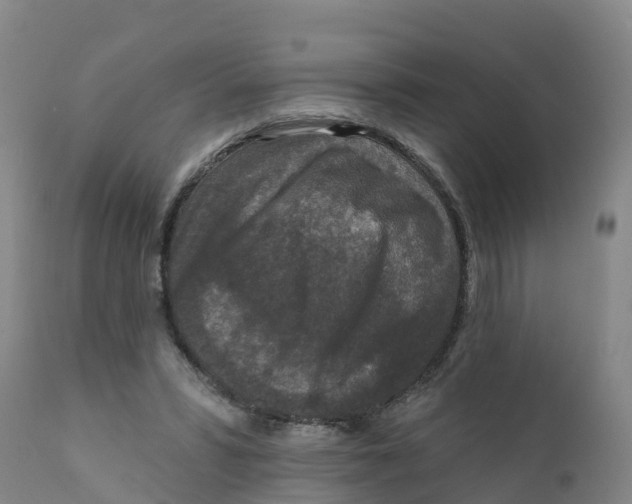 X0000111640399200908141412