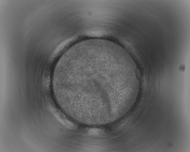 X0000111640400200908141412