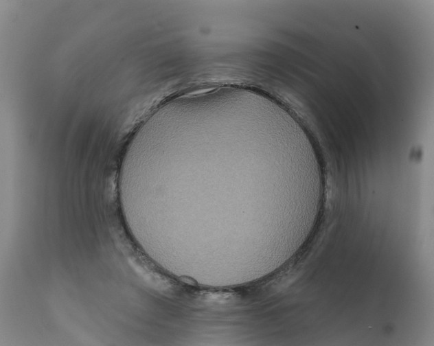 X0000111640401200908141412