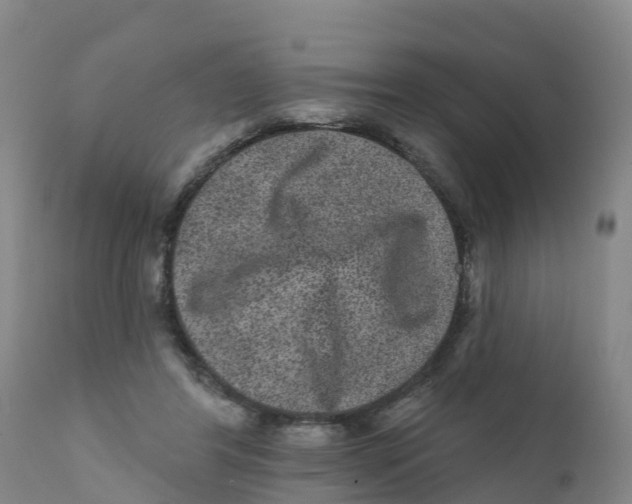 X0000111640404200908141412