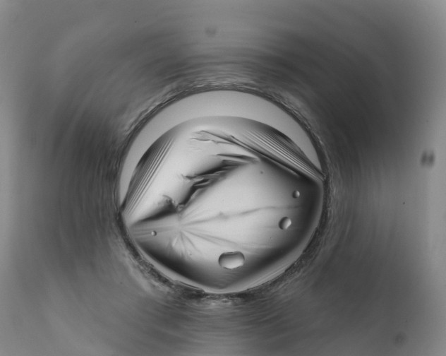 X0000111640405200908141412